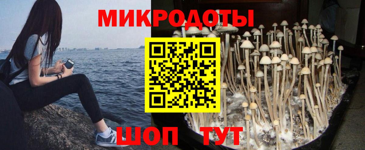 Галлюциногенные грибы GOLDEN TEACHER  Псилоцибиновые грибы мухоморы  Красноперекопск  Вход с VPN 